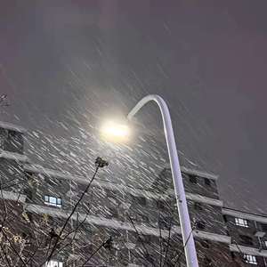 2024年见仍头走秀视频
